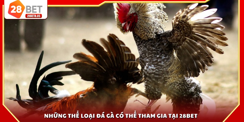Những thể loại đá gà có thể tham gia tại 28BET