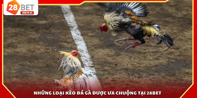 Những loại kèo đá gà được ưa chuộng tại 28BET