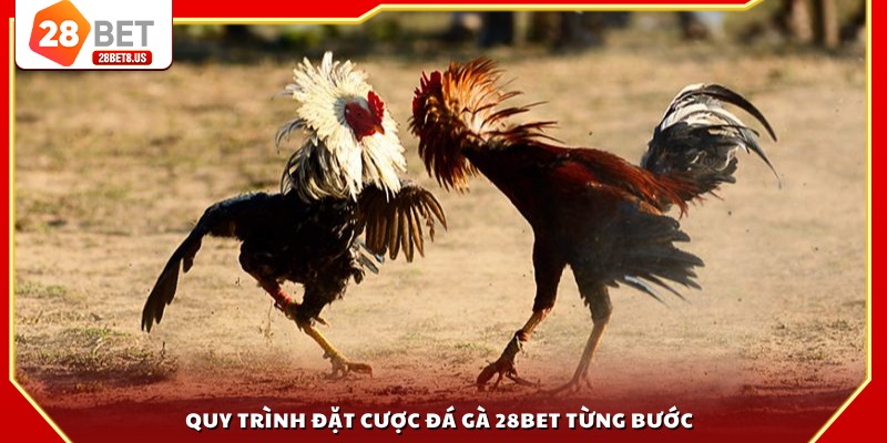 Quy trình đặt cược đá gà 28BET từng bước